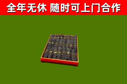 洪洞县回收海参